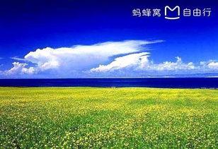 青海湖旅游爆料视频播放,探秘高原明珠的绝美风光与独特魅力